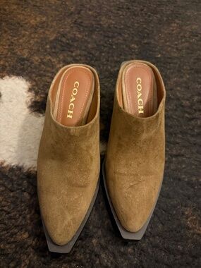 COACH Olive Green Suede Pointed Toe Mules